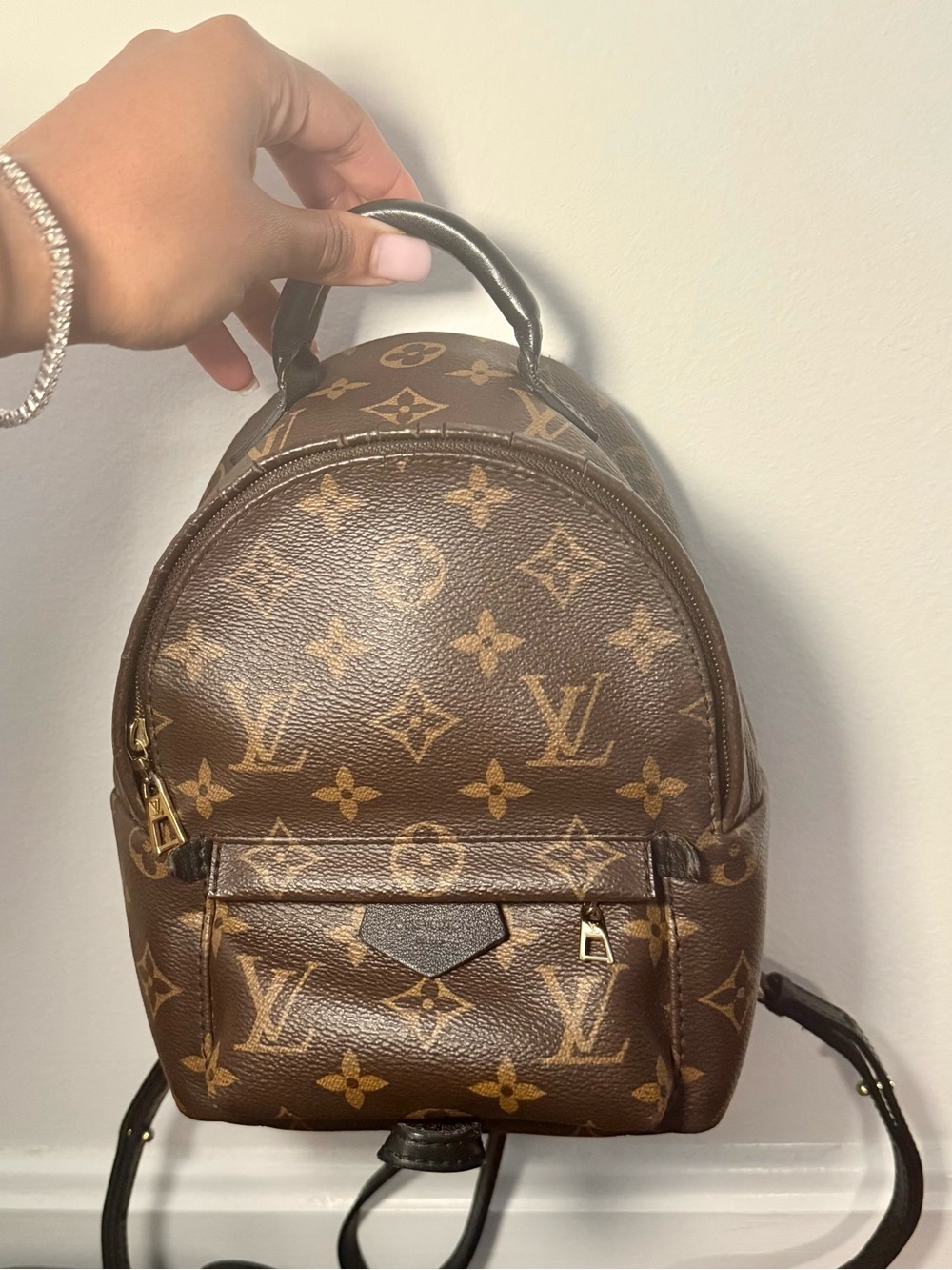 Louis Vuitton Palm Springs Monogram Mini Backpack - Brown/Gold